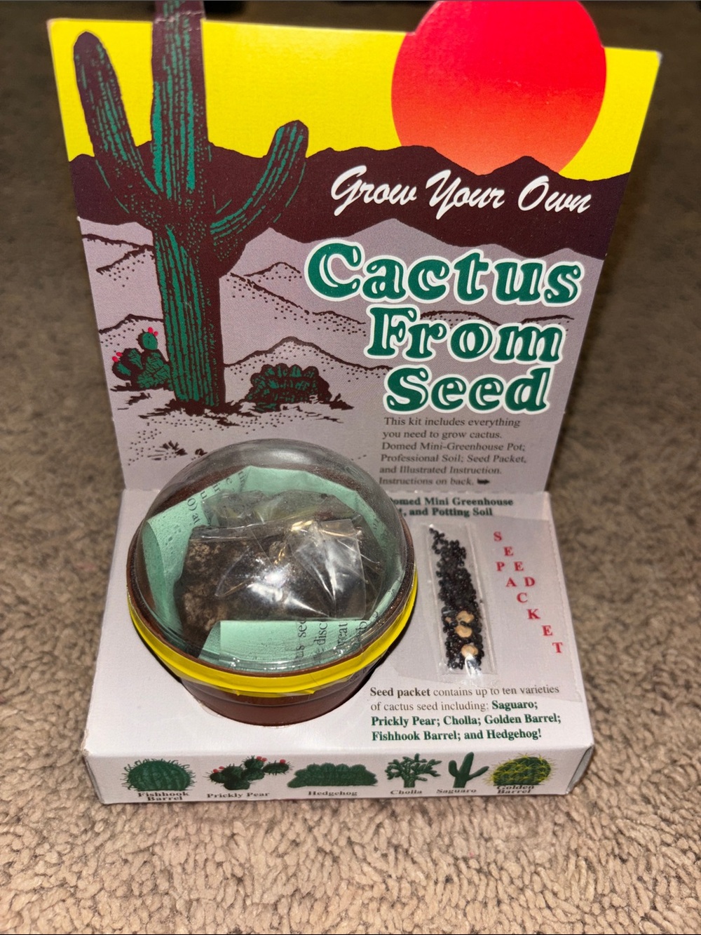 Source Unknown Cactus From Seed Kit - Green, Yellow, Red